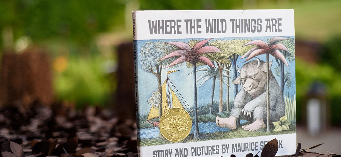 Where The Wild Things Are Inspired Baby Shower