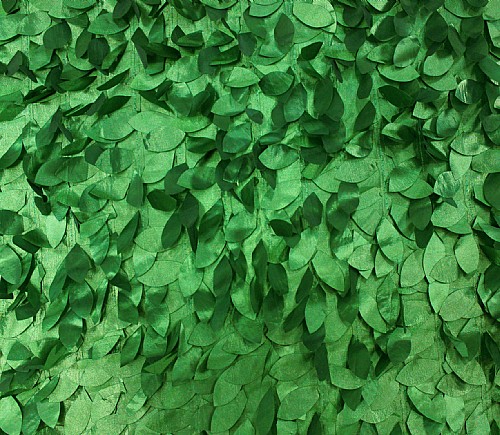 Emerald Leaf Jungle