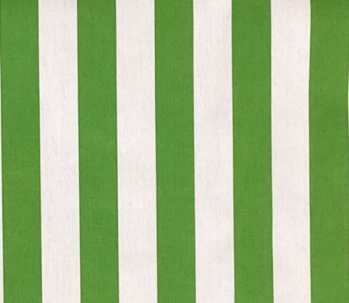 Green Cabana Stripe Cotton