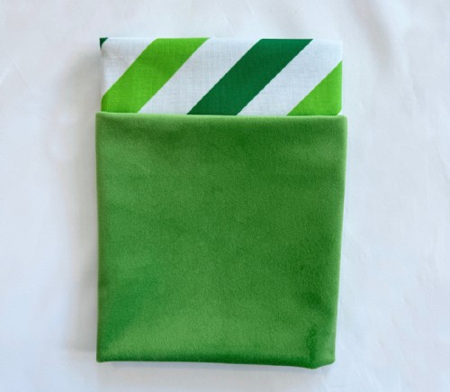 Apple Velvet Napkins with Green Stripe Cotton Backing