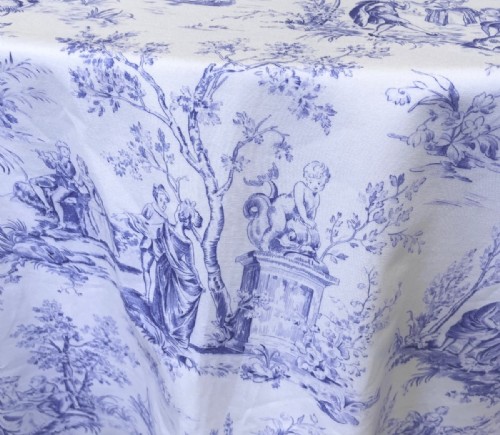 White with Navy French Toile